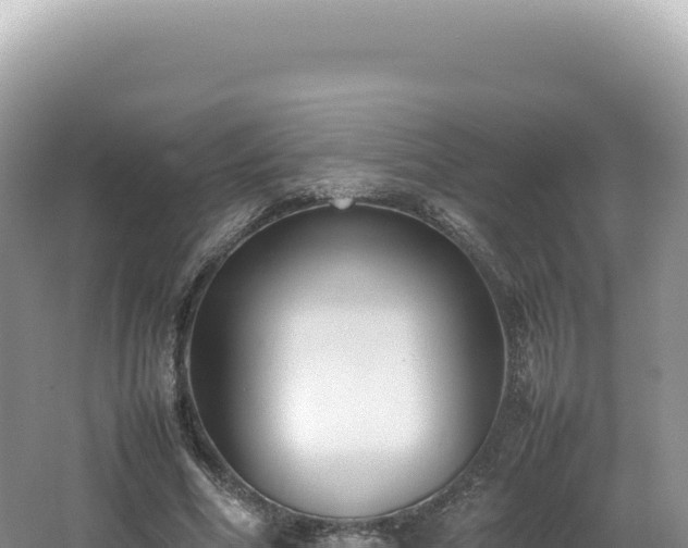 X0000062150586200512121310