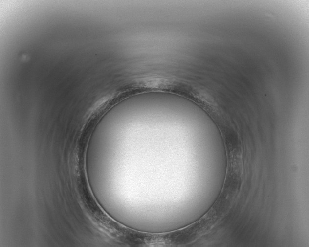 X0000062150587200512121310