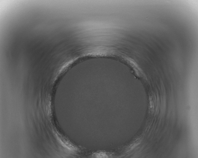 X0000062150588200512121310