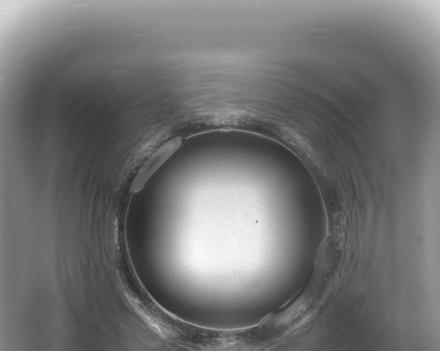 X0000062150589200512121310