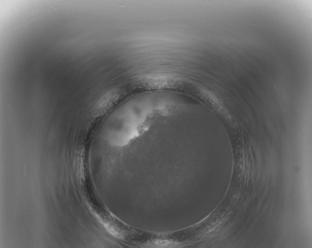 X0000062150590200512121310