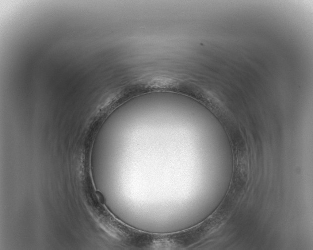 X0000062150591200512121309