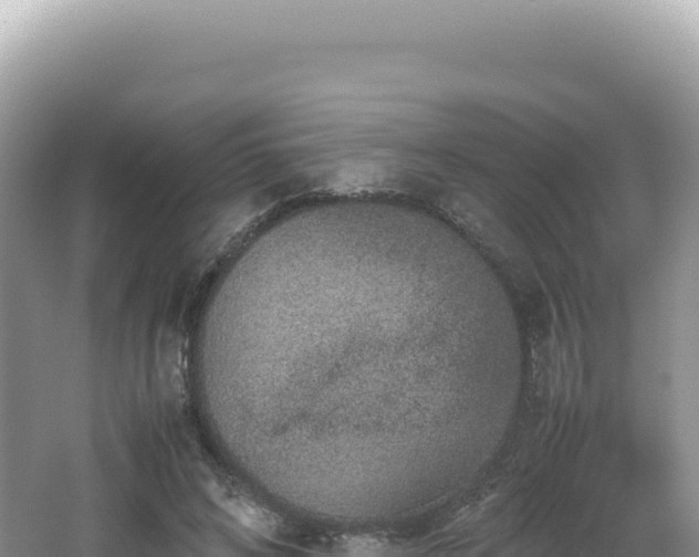 X0000062150592200512121309