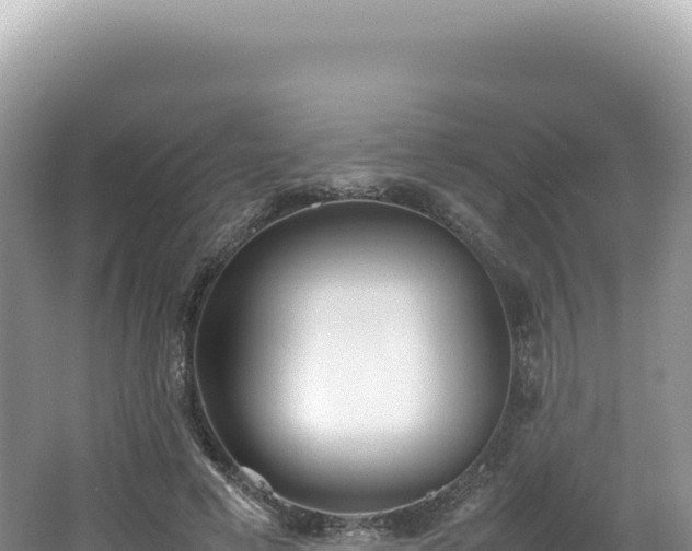 X0000062150593200512121309