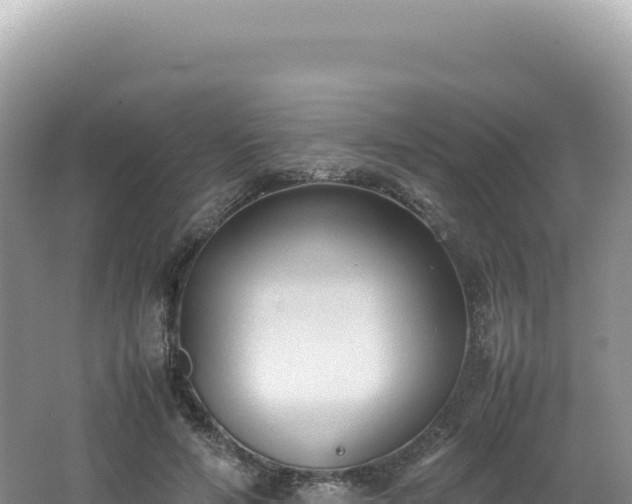 X0000062150594200512121309