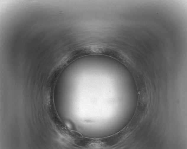 X0000062150595200512121309