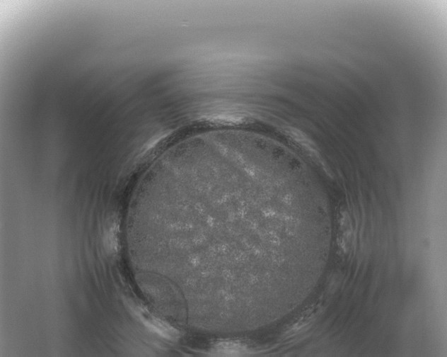 X0000062150596200512121309