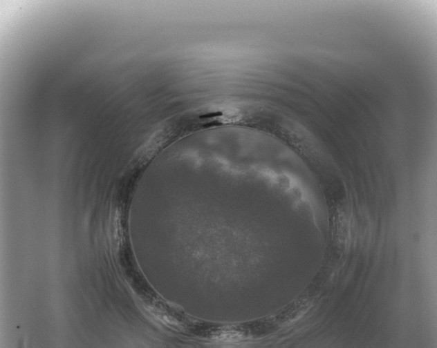 X0000062150598200512121309