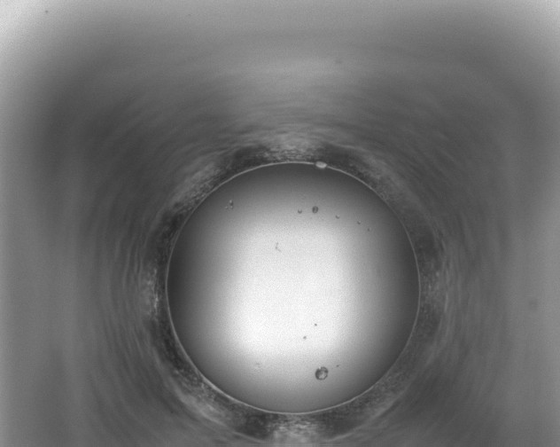 X0000062150599200512121309