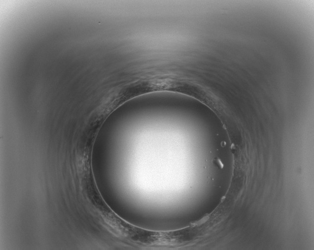 X0000062150601200512121309