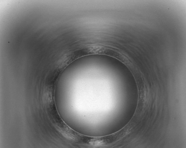 X0000062150602200512121309