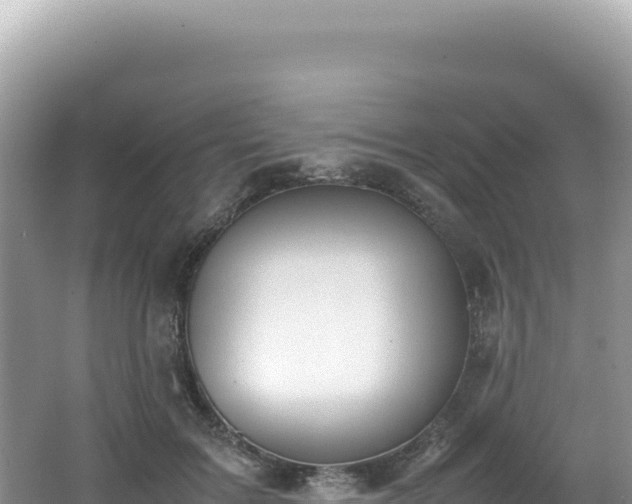 X0000062150603200512121309