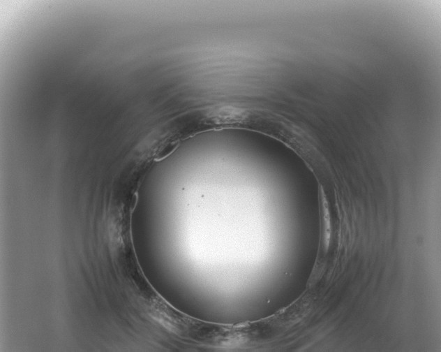 X0000062150604200512121309