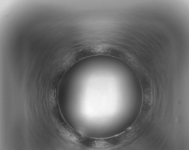 X0000062150605200512121309