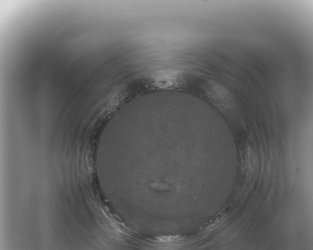 X0000062150606200512121309