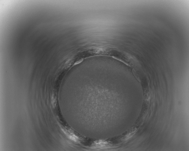 X0000062150607200512121309