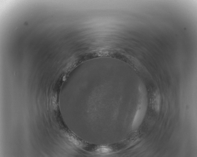 X0000062150610200512121309