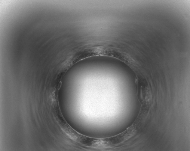 X0000062150611200512121309