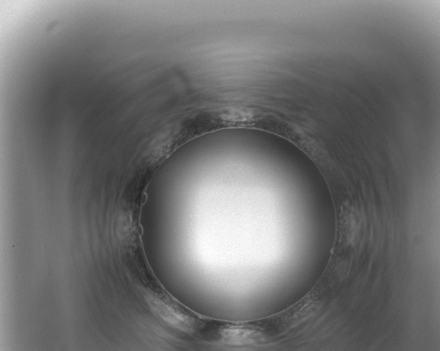 X0000062150614200512121309