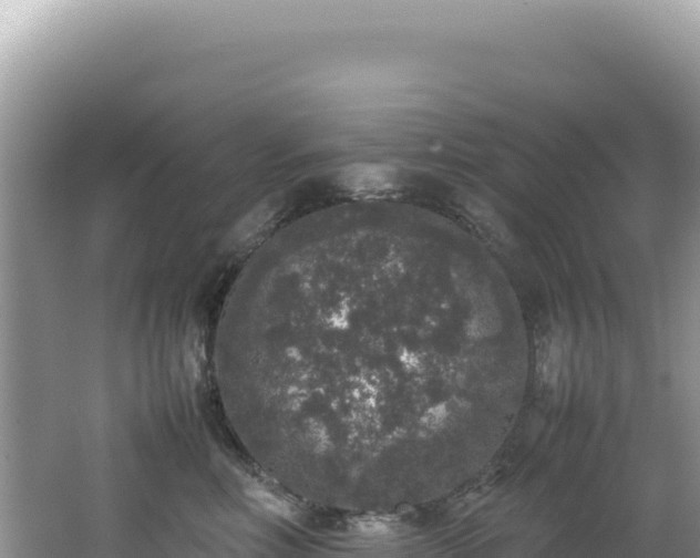 X0000062150618200512121309