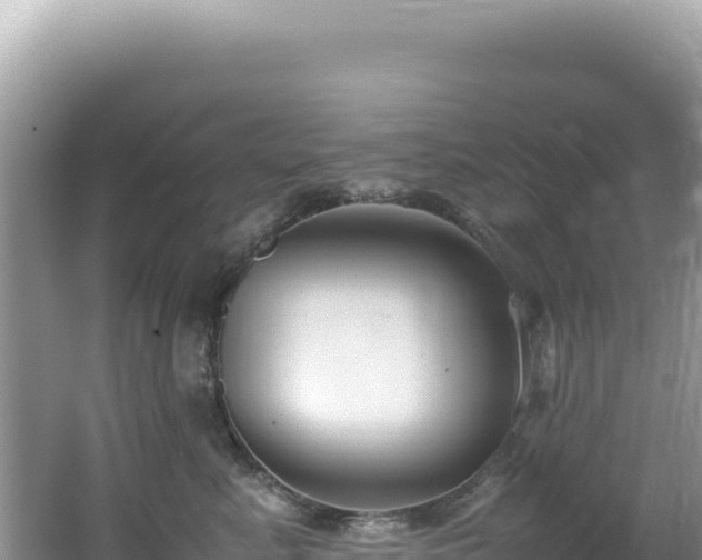 X0000062150619200512121309