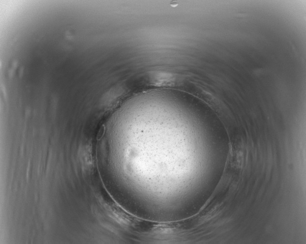 X0000062150620200512121309