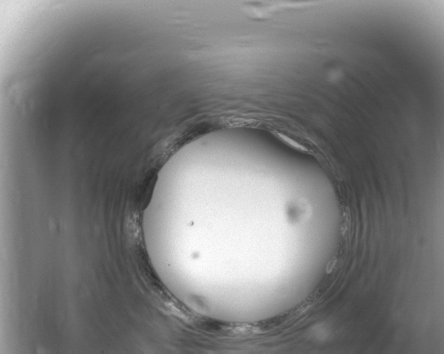 X0000062150621200512121309