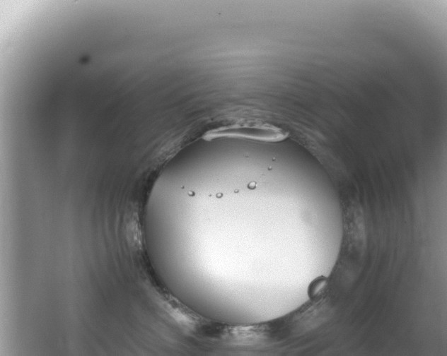 X0000062150622200512121309