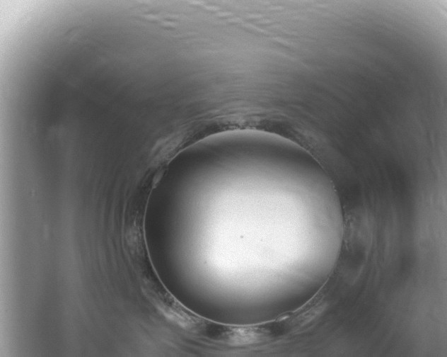 X0000062150623200512121309