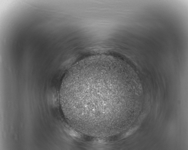 X0000062150624200512121309