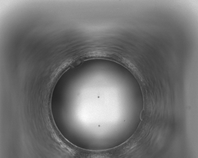 X0000062150625200512121308