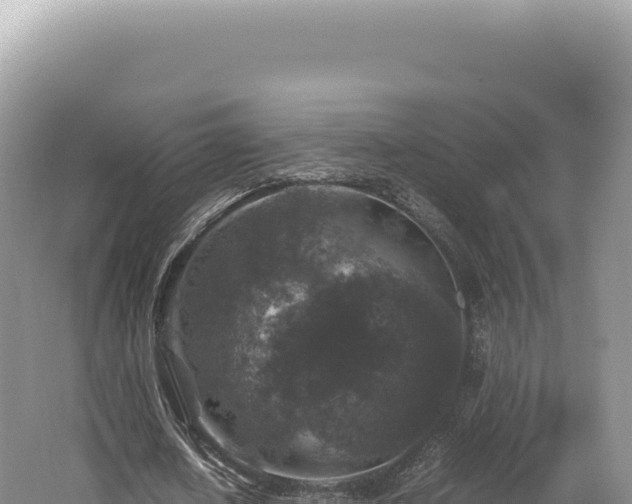 X0000062150626200512121308