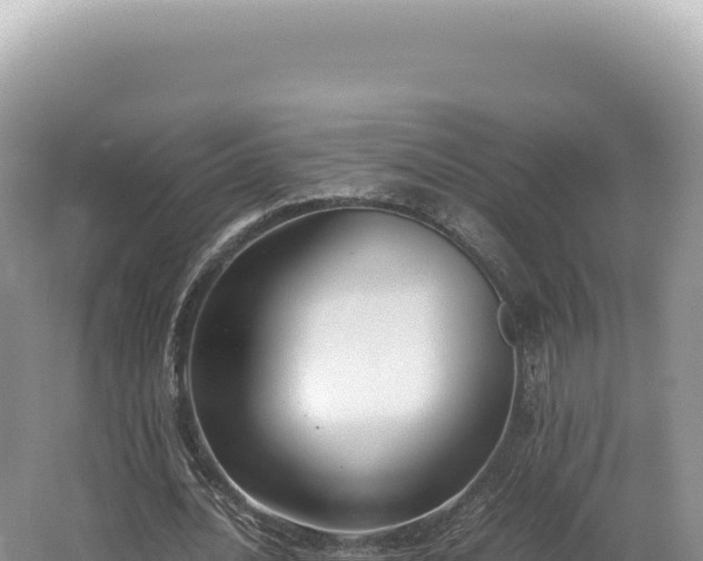 X0000062150628200512121308