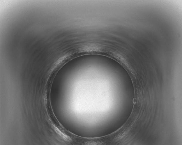 X0000062150629200512121308