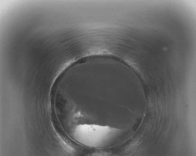 X0000062150630200512121308