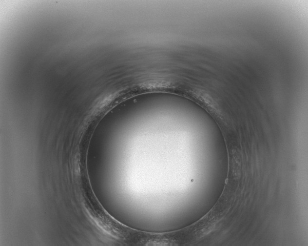 X0000062150631200512121308