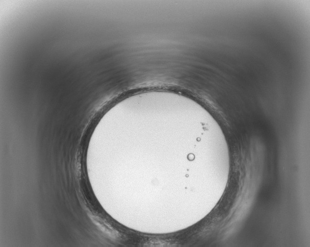 X0000062150632200512121308