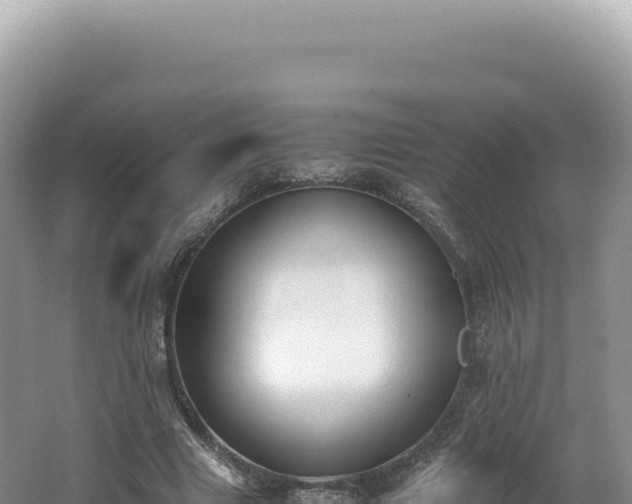 X0000062150633200512121308