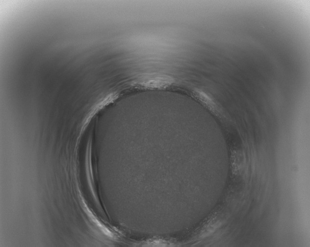 X0000062150634200512121308