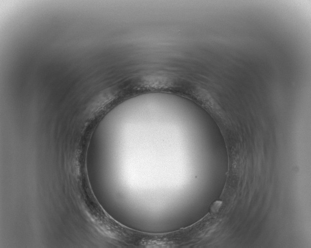 X0000062150635200512121308