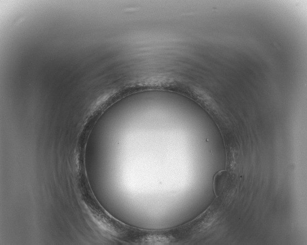 X0000062150636200512121308