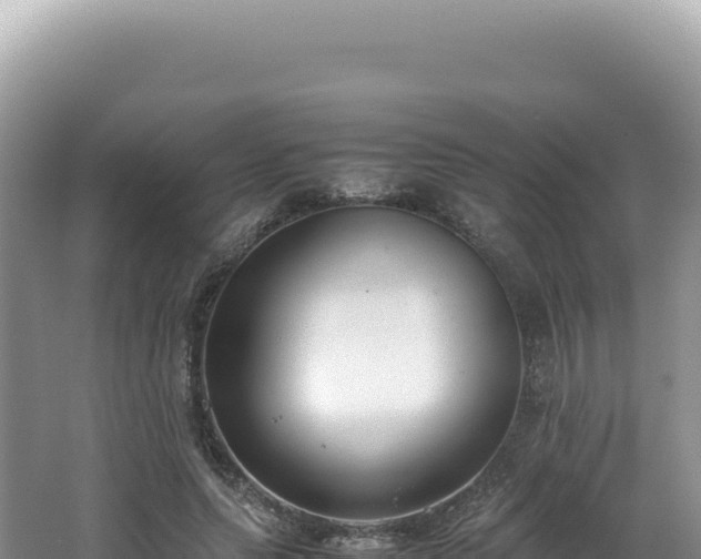 X0000062150639200512121308