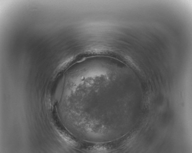 X0000062150640200512121308