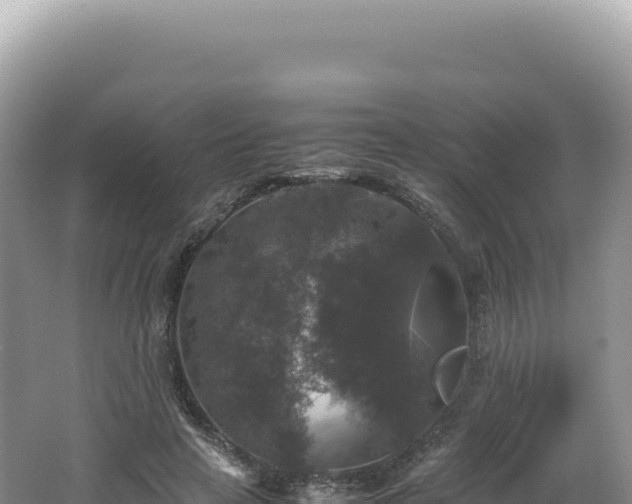 X0000062150641200512121308