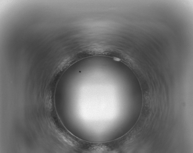 X0000062150642200512121308