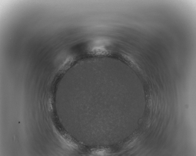 X0000062150643200512121308