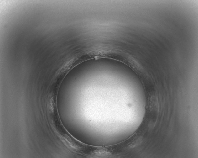 X0000062150644200512121308