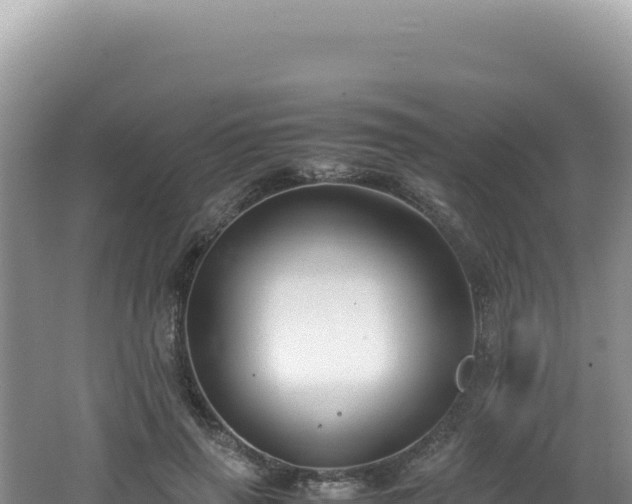 X0000062150645200512121308