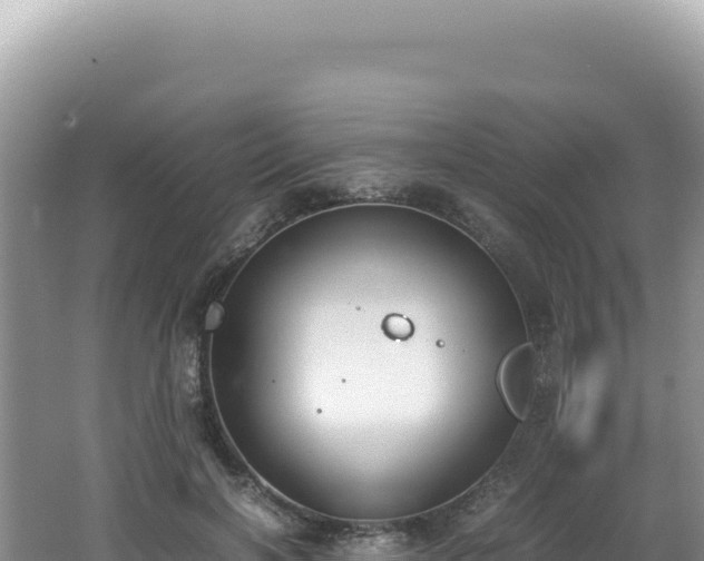 X0000062150646200512121308