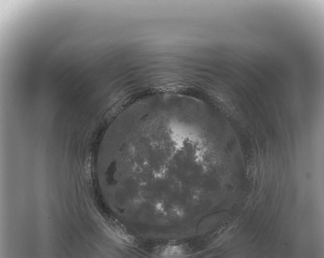 X0000062150647200512121308